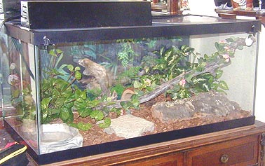 roscotank.jpg (64246 bytes)