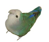 tweeder1.jpg (46104 bytes)