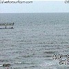Galveston