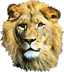 e-2-lion1b.gif - 3995 Bytes