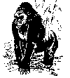 e-mntgoril.gif - 5249 Bytes