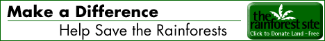 e-rain.gif - 5404 Bytes