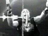 /user/animated05.gif