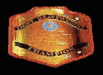 wwflhtitlebig.jpg (7058 bytes)