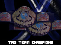 fwwtagteamchampionship.jpg (31539 bytes)