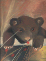 bear cub