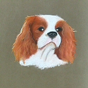King Charles Spaniel