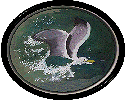 Seagull diving