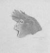 howler monkey