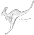 kangaroo
