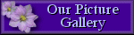 picture gallery