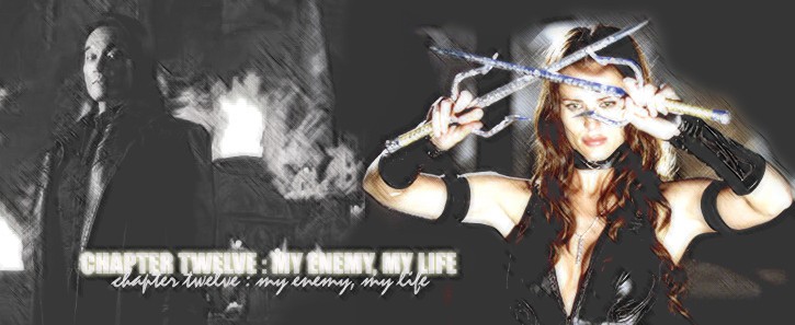 My Enemy, My Life