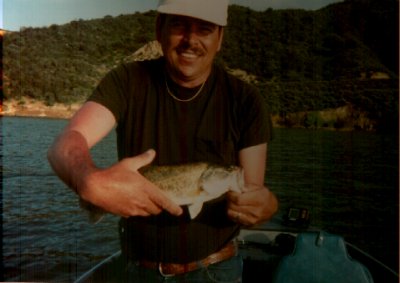 cachuma bass