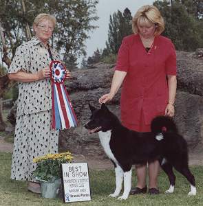 &copy; Tsarshadow. Real dog in the photo is 
Ch. Tsarshadow's Mistress of Pohjola
