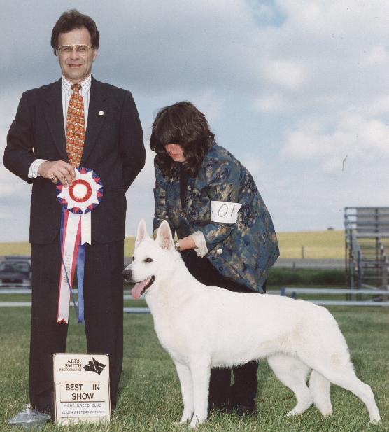 &copy; Hoofprint farm. Real dog in the photo is AWSA/RBCSWO/FORB 
Ch. Hoofprint Gone With the Wind