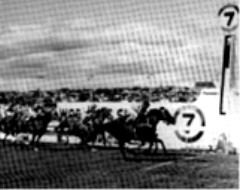 Kingston Town wins third Cox Plate