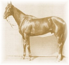 Phar Lap