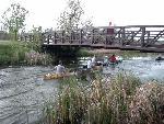 Bridge Picture #2
