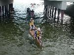 Bridge Picture #11