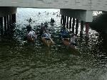 Bridge Picture #15