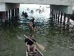 Bridge Picture #16