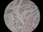 2ndtrydermdudes002001.jpg