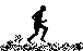 sport06.gif (2717 bytes)
