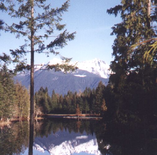 Lake Cushman in near Olympic National Park