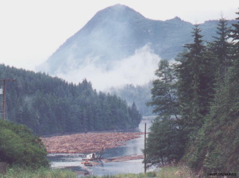 Inlet to Port Alberni