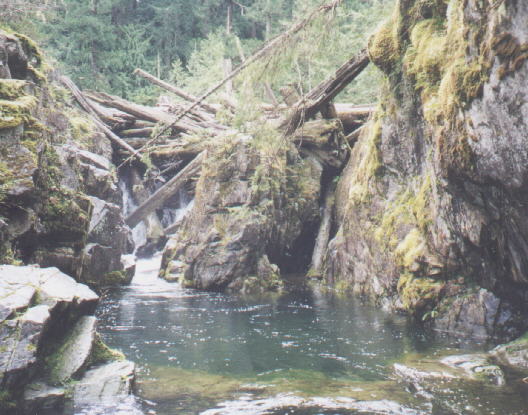 Stamp Falls near Beaver Creek