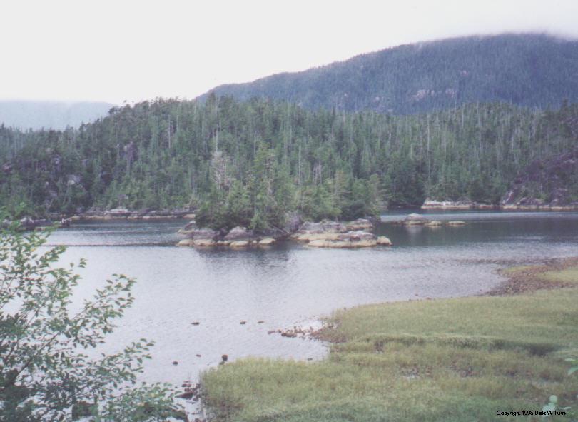 Kennedy Lake