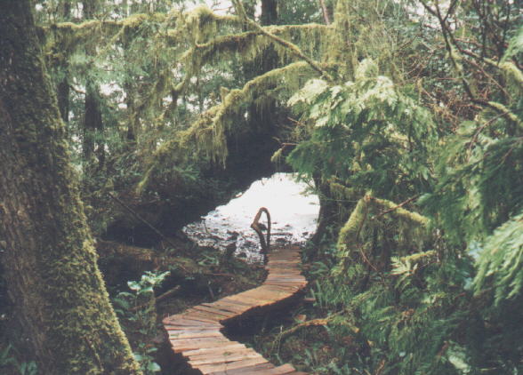 Nice trail to the beach