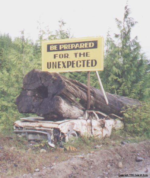 Welcome to the road to Winter Harbour