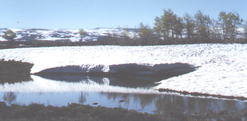 Fish Lake along Steen Mountain byway
