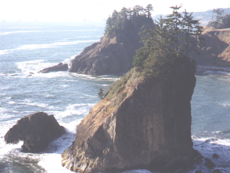 Rock along Oregon Coast