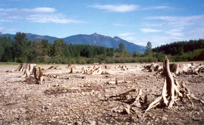Rattlesnake Lake in the summer