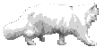 whitecat.gif