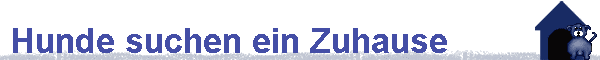 Hunde suchen ein Zuhause