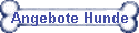 Angebote Hunde