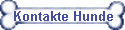 Kontakte Hunde