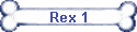 Rex 1