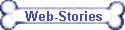 Web-Stories