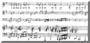 chetango.gif (78256 byte)