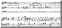 pajaros.gif (71362 byte)