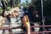 03_Jen_at_The_Mirage