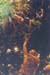 28_Cheri_vs_Snake_at_MGM_Grand
