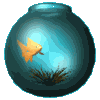 goldfish ani.gif (5776 bytes)