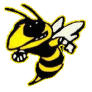 Yellow Jacket