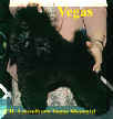 Vegas - Ash's Mystical Poodles
