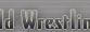 World Wrestling Association